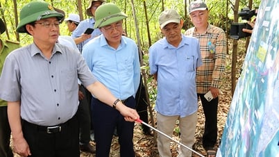 Bí thư Tỉnh ủy Hồ Quốc Dũng khảo sát núi Vũng Chua