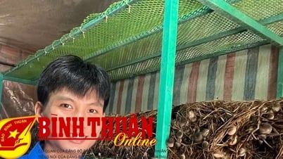 Инженеры поколения Z и мечты, сделанные из соломы