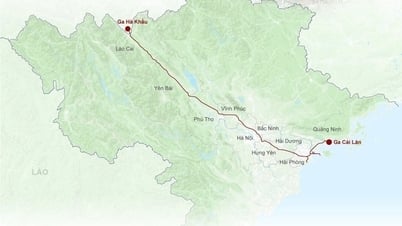 Construction of Lao Cai - Hanoi - Hai Phong railway to start in December