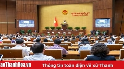 National Assembly discusses amending the Constitution and organizing local governments