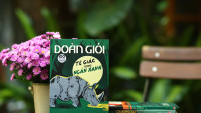 Leyendo el libro de Doan Gioi, sintiendo 'Southern Forest Land' en cada página