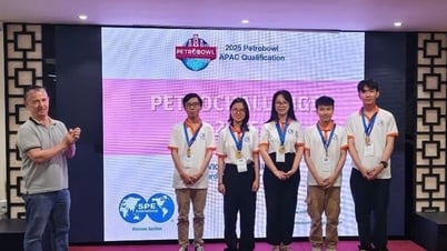 Danang University of Technology students win oil and gas research contest