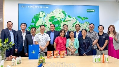 Cà Mau tăng cường xúc tiến đầu tư và thương mại với Singapore