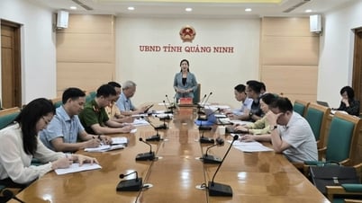Triển khai kế hoạch tổ chức các hoạt động hè dành cho thiếu nhi năm 2025