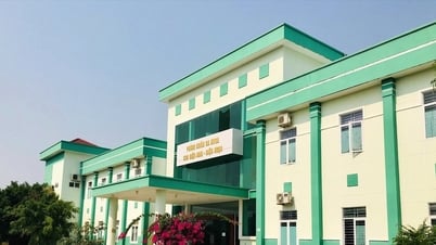 Quang Nam examine et gère 274 maisons publiques et terrains qui ne sont pas utilisés ou utilisés de manière inefficace.