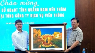 Fortalecimiento de la cooperación y promoción de la transformación digital de la educación en Quang Nam