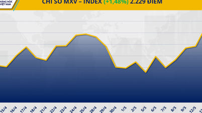 Commodity market flourishes, MXV-Index surpasses 2,200 mark