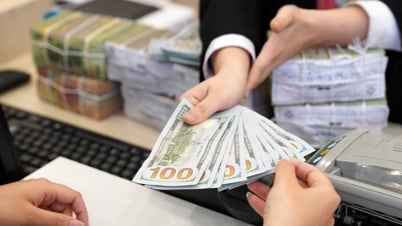 Tỷ giá USD hôm nay 14/5/2025: Đồng USD thế giới lao dốc