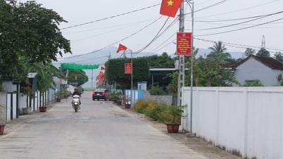 Nam Dan District (Nghe An) meets advanced new rural standards