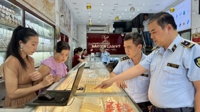 El Primer Ministro ordena anunciar públicamente las conclusiones de la inspección de oro