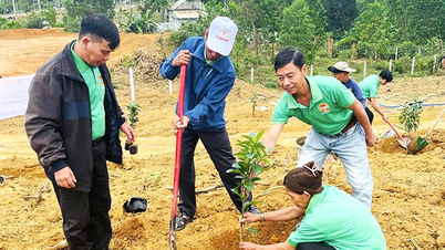 Die Attraktion des „Farmer’s Garden“