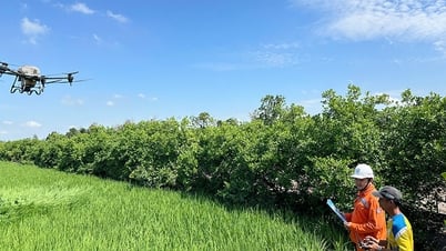 Thực hiện đạt các chỉ tiêu về chuyển đổi số ngành nông nghiệp
