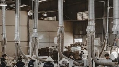Thúc đẩy minh bạch và tái cấu trúc sản xuất ngành gỗ