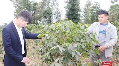 Khai thác lợi thế phát triển kinh tế bền vững