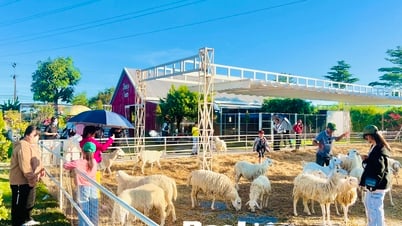 Du lịch hè vào mùa