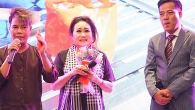 La chanteuse An Thien Vy offre 386 dons caritatifs pour répandre l'amour aux personnes âgées seules