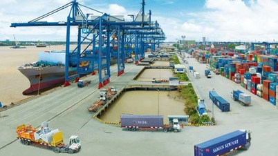 3 thị trường xuất khẩu lớn nhất của Đồng Nai