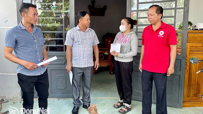 Hỗ trợ đột xuất cho 16 hộ bị ảnh hưởng do mưa lốc tại huyện Định Quán