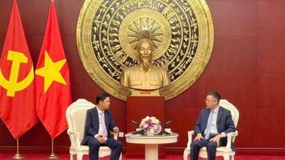 Conectando intercambios y cooperación entre la provincia de Quang Nam y localidades chinas