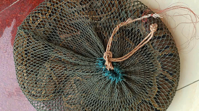 Trăn đất nặng hơn 10kg bò vào vườn nhà dân