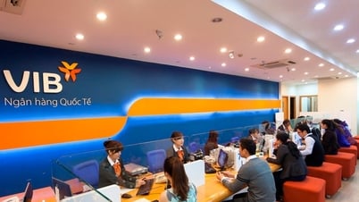 VIB được chấp thuận tăng vốn điều lệ thêm gần 4.300 tỷ đồng