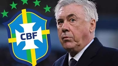 Thay đổi sốc của tuyển Brazil