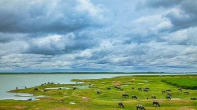 Highland shades in Tay Ninh