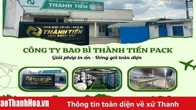 Thanh Tien Pack Company - Producing and printing cheap zipper bags in Hanoi