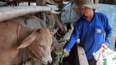 Hỗ trợ người nghèo phát triển sản xuất