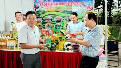 Liên minh HTX tỉnh Yên Bái tham gia Hội chợ Xúc tiến thương mại cho các HTX tại khu vực miền Bắc năm 2025