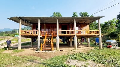 Quyết tâm gỡ khó!