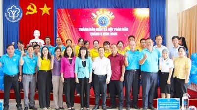 Phát huy vai trò tổ chức dịch vụ thu bảo hiểm