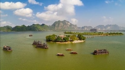 Chùa Tam Chúc miễn phí vé xe và suất ăn cho khách chiêm bái xá lợi Phật