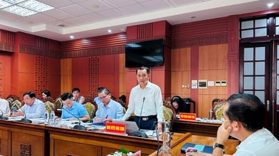 Dong Giang asigna capital para programas de objetivos nacionales que alcanzan casi el 88%