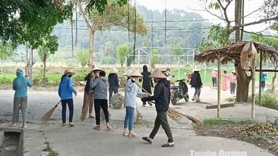 Nỗ lực thực hiện tiêu chí môi trường