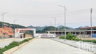 Industrial and handicraft development in Dinh Hoa: 'Leverage' for growth