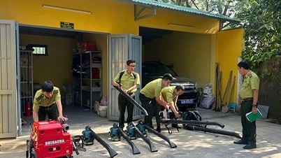 Tăng cường phòng cháy chữa cháy rừng mùa cao điểm