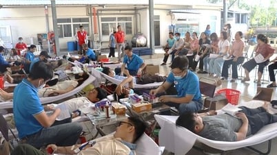 Cần Đước: Hơn 250 người hiến máu tình nguyện đợt 2 năm 2025