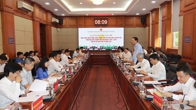 Supervising the implementation of policies and laws on education and training for the period 2020-2024