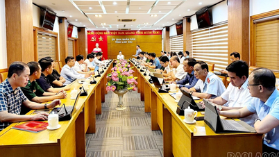 Triển khai đợt cao điểm chống buôn lậu, gian lận thương mại và hàng giả