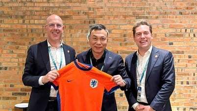 Vietnam Football Federation suggests cooperation with Brazilian football
