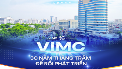 VIMC – 30 ans de hauts et de bas menant au développement