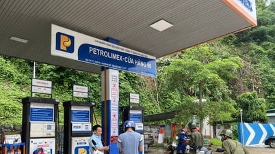 Pronóstico del precio de la gasolina para esta tarde 15 de mayo de 2025