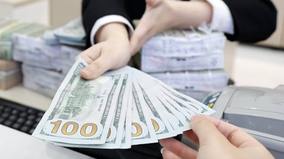 Giá USD tại Việt Nam giảm mạnh