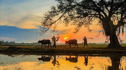 នៅតែផ្ទះ