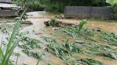 Lai Chau : Alerte aux crues soudaines et aux glissements de terrain dus à de fortes pluies ou à des écoulements d'eau dans les districts et les villes