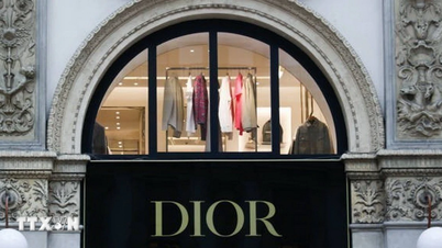 Cyberattaque contre la maison de couture de luxe Dior