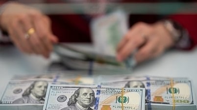 Tipo de cambio al 15 de mayo: el precio del dólar se mantiene sin cambios en el mercado libre