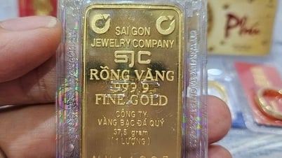 SJC 금괴 가격이 1억 VND/냥으로 떨어질 수도 있나요?