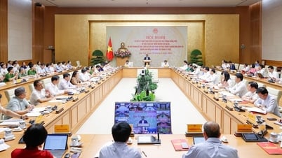 Phê duyệt danh sách thành viên và chức năng, nhiệm vụ của Tổ Công tác triển khai Đề án 06; cải cách thủ tục hành chính, chuyển đổi số gắn với Đề án 06